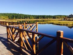 -塞罕坝国家级自然保护区