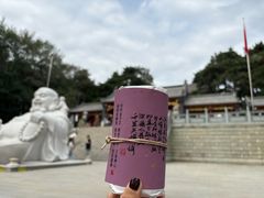 -沈阳辉山风景区