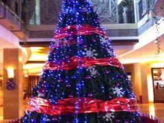 酒店圣诞树-三亚亚龙湾凯莱仙人掌度假酒店