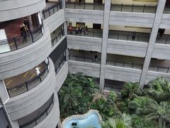 -黑龙江中医药大学附属第一医院