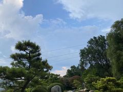 -中国唐苑