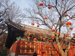 -香山公园