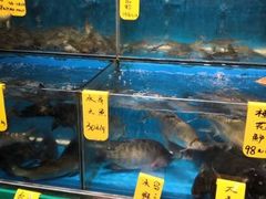 -飞尝蚝·顺德菜·鱼生(顺德总店)