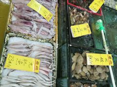 -鸿达渔港