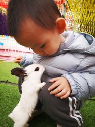 -萌宠亲子动物乐园(槐房万达店)