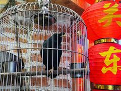 -闯关东东北农家菜(崂山石老人店)