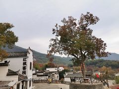-塔川景区