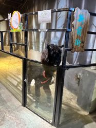 点击看大图 -酷嗒动物文化乐园(cutezoo西溪乐天城店)