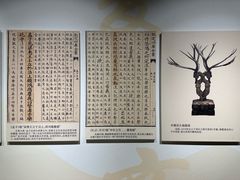 -北京麋鹿生态实验中心