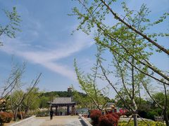 -泰山风景名胜区-虎山公园