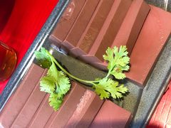 -谭鸭血老火锅(漳州路店)