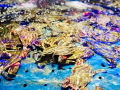 -澜悦港海鲜体验主题餐厅