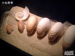 -亚龙湾中心广场·贝壳馆