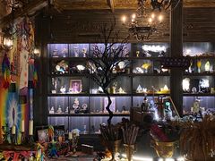-雪灵魔法世界SHELLY’S TAROT(大良桂畔里店)