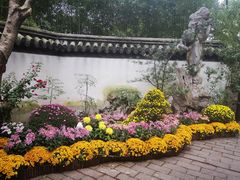 -汇龙潭