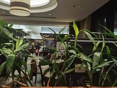 大堂-新港湾大酒店-西餐厅
