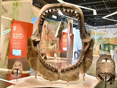 -香港科学馆