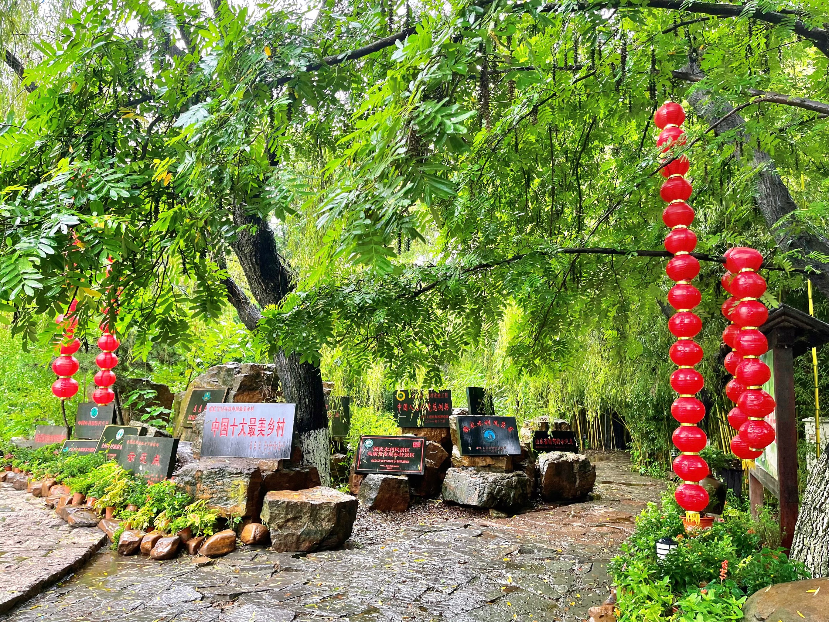 舟山百鸟园门票图片