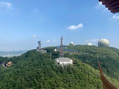 -阿玲海鲜面(高亭镇星河路店)