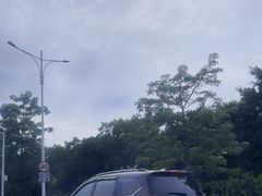 -广州白云国际机场-T2航站楼