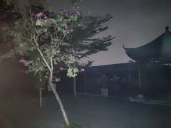 -聚龙山公园