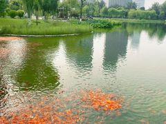 -西海子公园