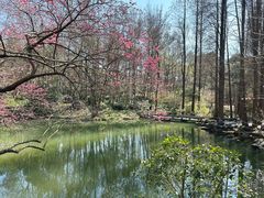 -杭州植物园
