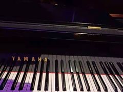 -TORA音乐酒馆