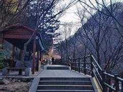 -崂山九水游览区