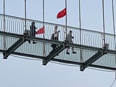 -南通鲜花小镇