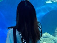 -广东惠东海龟国家级自然保护区