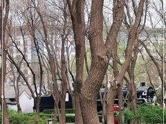 -玲珑塔公园
