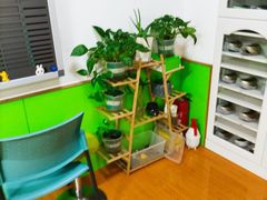 -思明堂儿童近视弱视视力矫正中心(联洋店)