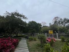 -晓港公园