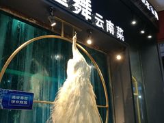 -雀舞云南菜(乐客城店)