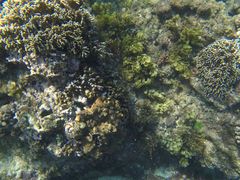 -白沙湾海滩