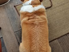 -肥朵食堂(带梦胡同店)