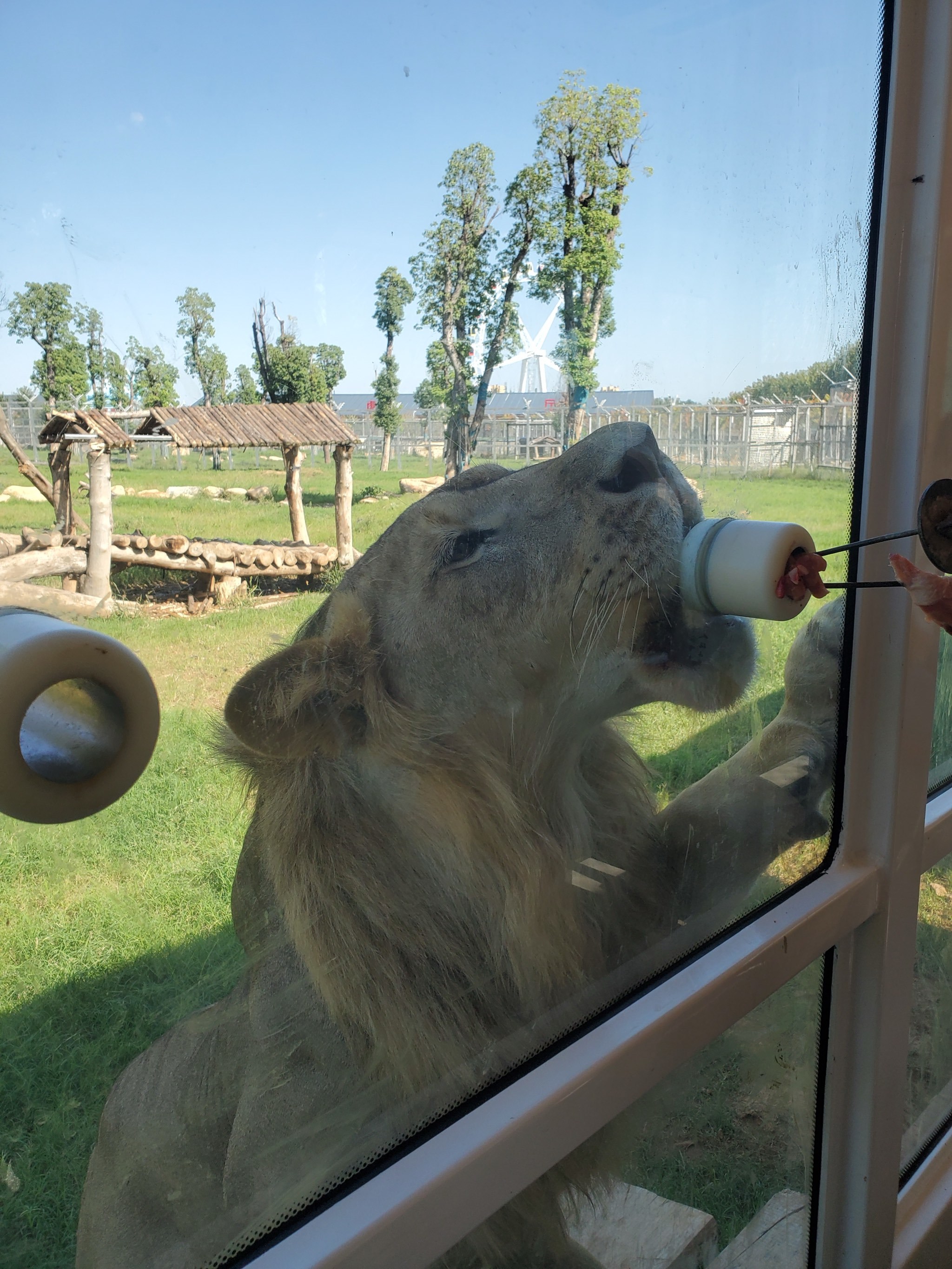 南阳野生动物园
