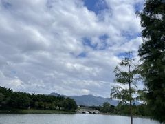 -飞来湖湿地公园