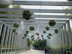 -深圳国际园林花卉博览园