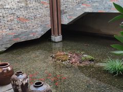 -几荷·恰似故人来(秀水广场店)