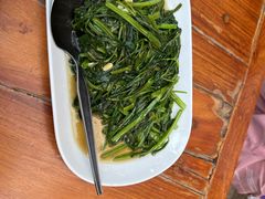 -绿光森林餐厅