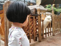 -杭州开元森泊度假乐园