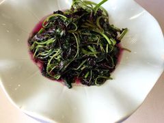 -黄鹤楼湖北特色菜(高碑店)