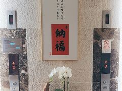 -九华山聚龙大酒店