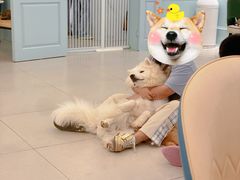 -安格丽娜·狗咖·猫咖羊驼咖(春熙路百盛商场店)