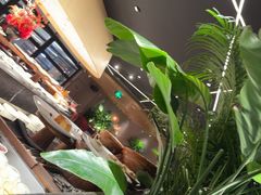 -拉蒂娜·巴西牛排馆 Latina·Brazilian Steakhouse(王府井喜悦店)
