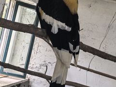-哈尔滨北方森林动物园