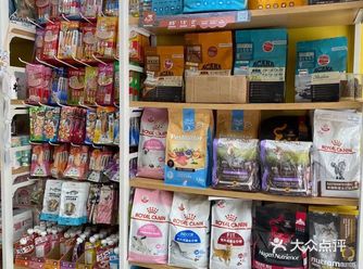发现一家好玩有趣的宠物店，有意思的