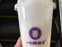 -一只酸奶牛(百联南岸上海城店)